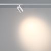 Трековый однофазный двухжильный светильник Novotech Port Selene 359908