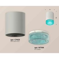 Комплект накладного светильника Ambrella light Techno Spot XS7423004 SGR/BL серый песок/голубой (C7423, N7194)