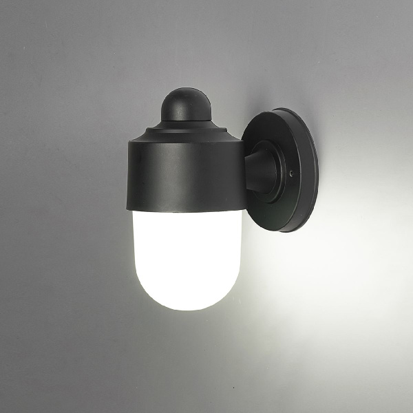 Настенный уличный светильник Escada 30008 30008W/01