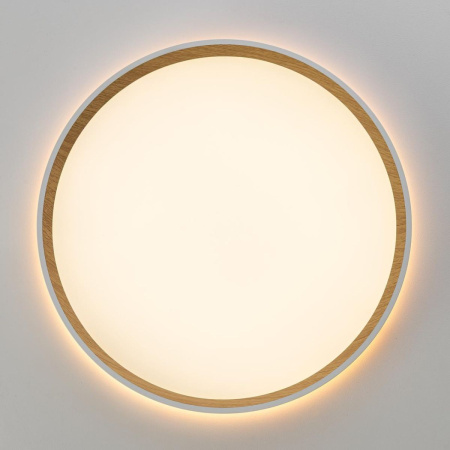 Накладной светильник Citilux Etalon CL750320R