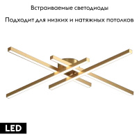 Потолочная люстра Lightstar Palla 739023
