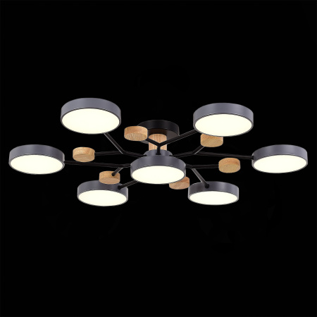 Люстра на штанге Evoluce Faema SLE6006-702-07