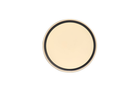 Потолочный светильник Zortes Bella ZRS.1201.07