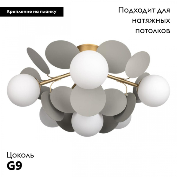 Потолочная люстра Loft IT Matisse 10008/6C Grey