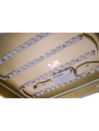 Потолочный светильник Zortes Gabby ZRS.1215.03