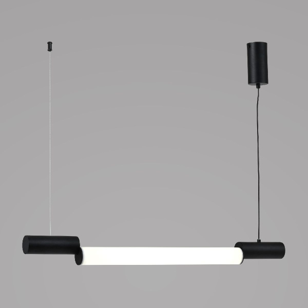 Подвесной светильник Zortes Nepo ZRS.1888.10