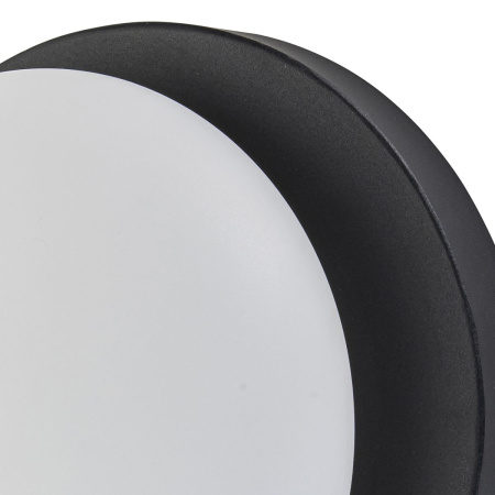 Настенный светильник Escada Meteor 10273/1LED Black