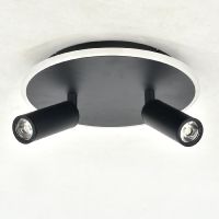 Настенно-потолочный светильник Escada 20046SMA/02LED BK