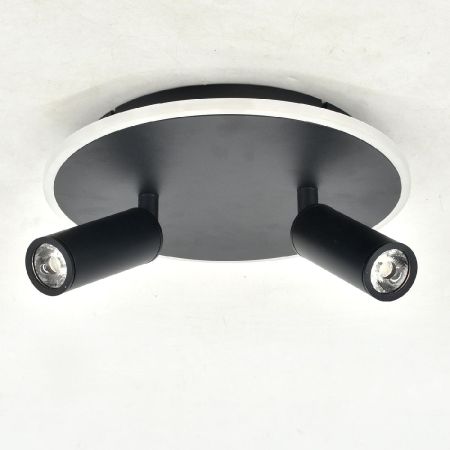 Настенно-потолочный светильник Escada 20046SMA/02LED BK