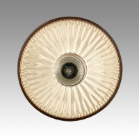 Подвесной светильник Lumion Suspentioni Natana 8054/1A