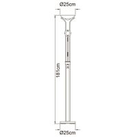 Торшер Arte Lamp Duetto A4329PN-2CC