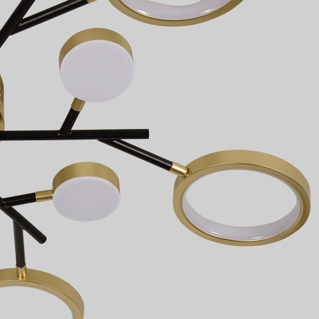 Потолочный светильник F-Promo Hybrid 4686-13C