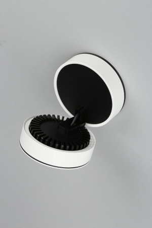 Спот Omnilux  OML-101909-12