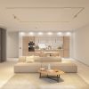 Трековый магнитный светильник Denkirs Shine Spot Zigbee DK5944-SB