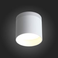 Накладной светильник ST Luce ST102.502.09