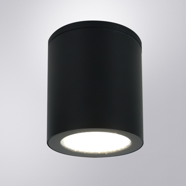 Уличный потолочный светильник Arte Lamp Torcular A1313PF-1BK