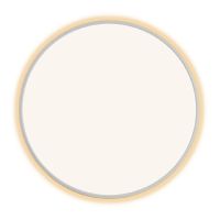 Потолочный светильник Citilux Norma CL748600