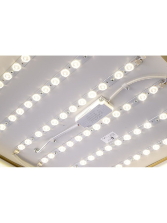 Потолочный светильник Zortes Monna ZRS.1209.05