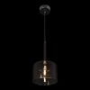 Подвесной светильник Loft IT Spillray 10232/A Smoke