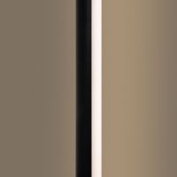 Торшер Freya Stripe FR6122FL-L22B