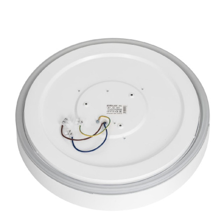 Потолочный светильник Citilux Boss CL751350G