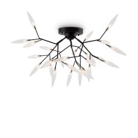 Потолочный светильник Freya Iris FR5067CL-27B