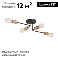 Потолочная люстра Vitaluce V3005-1/4PL