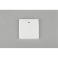 Выключатель одноклавишный Aployt Magnetic track 220 APL.0190.00.01