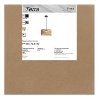 Подвесной светильник Freya Terra FR5514PL-01B2