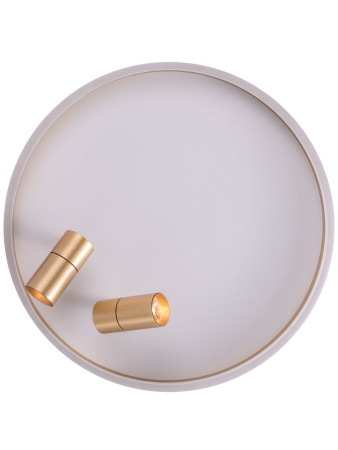 Потолочный светильник Zortes Raizy ZRS.1888.02