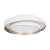 Потолочный светильник Freya Layer FR6085CL-L72WG