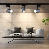 Трековый однофазный светильник Reluce 06303-9.3-001RN MR16 SL+CR