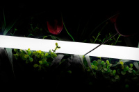Светодиодная лента SWG 2835 360 LED/м 16 Вт/м 24В 4000K IP66 013283