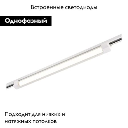 Трековый однофазный светильник ST Luce ST368.546.20.2