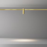 Трековый магнитный светильник Maytoni Focus TR143-1-5W3K-W-BS