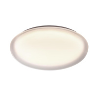 Настенно-потолочный светильник Sonex Pale Jolly 7776/DLN