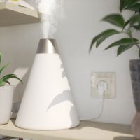 Розетка Wi-Fi  Werkel слоновая кость W1171603