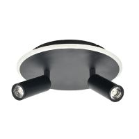 Настенно-потолочный светильник Escada 20046SMA/02LED BK