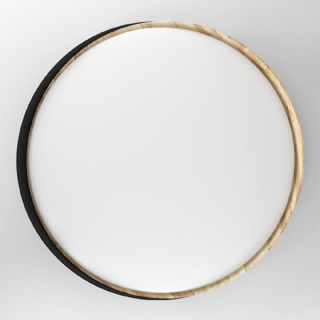 Потолочный светильник Citilux Bonny CL754451G