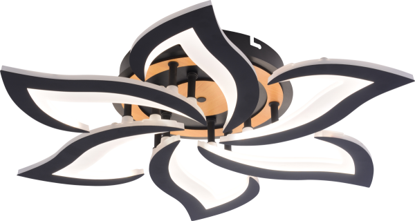 Потолочный светильник Rivoli Cassandra 6194-733 Б0070141