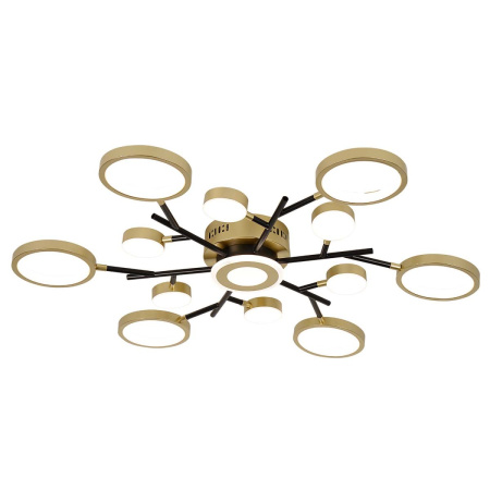 Потолочный светильник F-Promo Hybrid 4686-13C