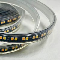 Светодиодная лента Favourite 24В SMD2835 19,8Вт/м 6500K 5м IP65 2001-62065