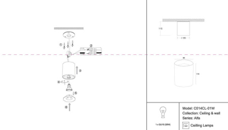 Потолочный светильник Maytoni Alfa C014CL-01W