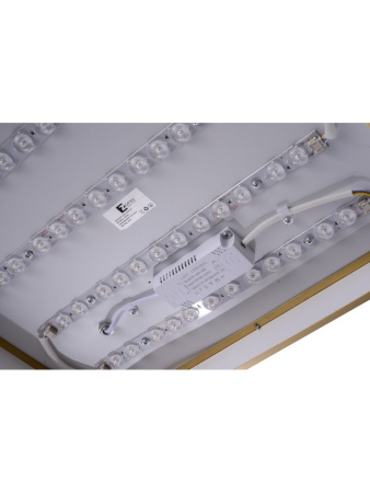 Потолочный светильник Zortes Monna ZRS.1209.03