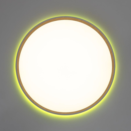 Потолочный светильник Citilux Etalon CL750400R