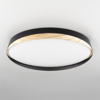 Потолочный светильник Citilux Bonny CL754451G