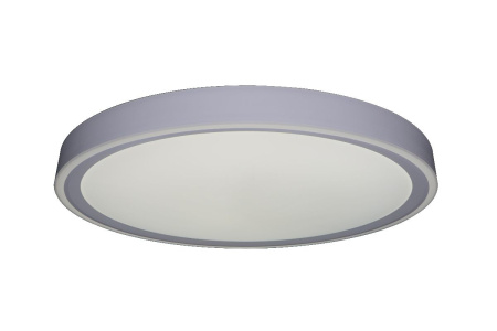 Потолочный светильник Zortes Bella ZRS.1200.09