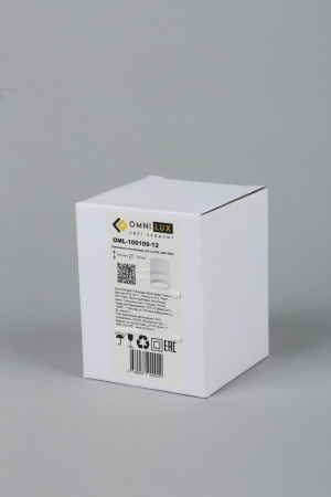 Накладной светильник Omnilux Fortezza OML-100109-12