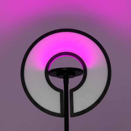 Торшер Citilux Loong CL810031