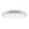 Потолочный светильник Freya Sprida FR6129CL-L80GR